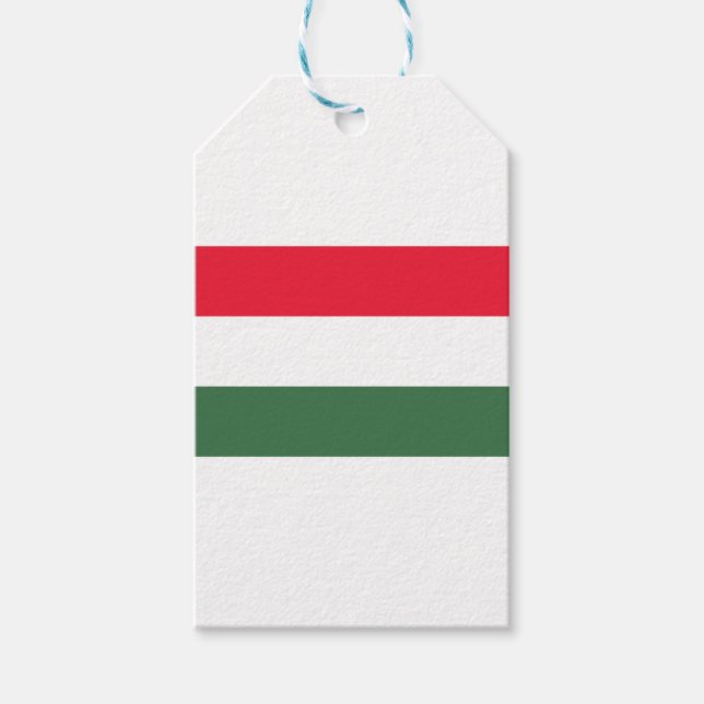 Low Cost! Hungary Flag Gift Tags (Front)