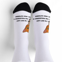 Low Energy, High Cuteness – The Cat Philosophy