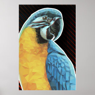 Low Poly Blue and Yellow Macaw Poster