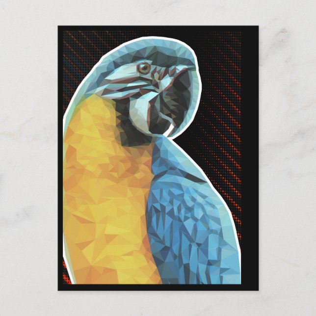 Low Poly Macaw Postcard (Front)