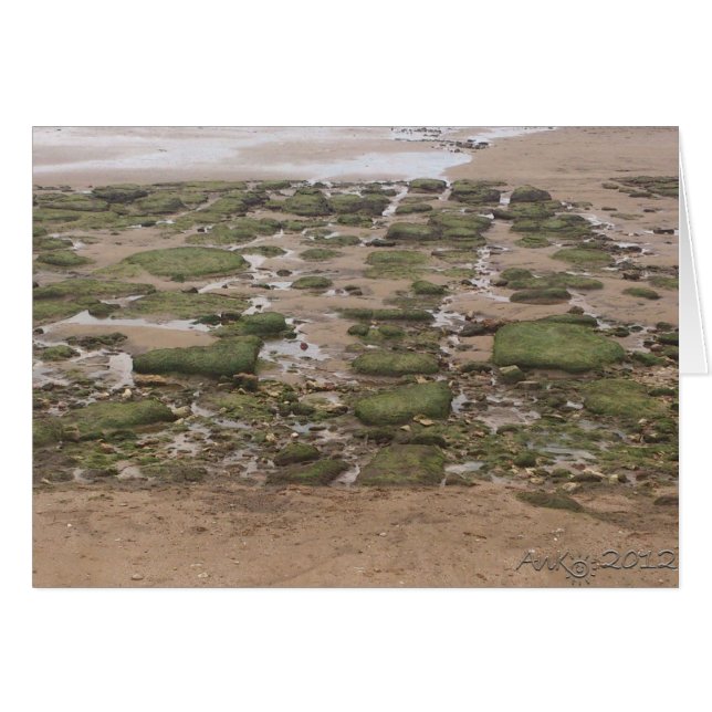 Low Tide 2 (Front Horizontal)