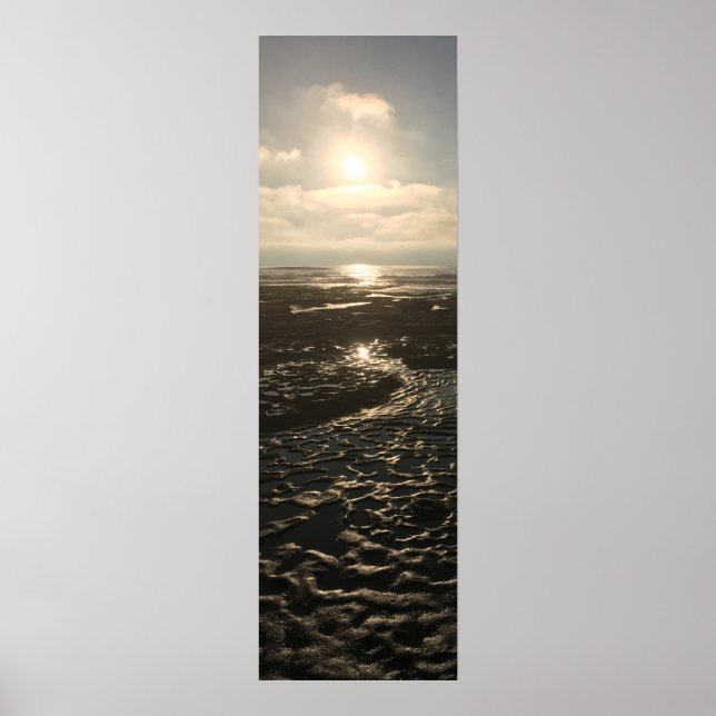 Low Tide at La Jolla Poster (Front)