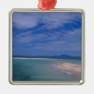 Low tide at the beach metal tree decoration