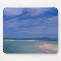 Low tide at the beach