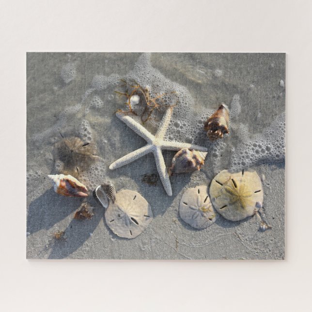 Low Tide Beach Treasures, Florida Jigsaw Puzzle (Horizontal)