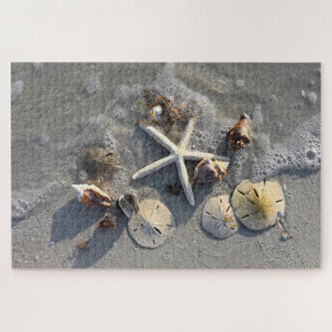 Low Tide Beach Treasures, Florida Jigsaw Puzzle