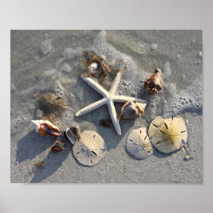 Low Tide Beach Treasures Poster