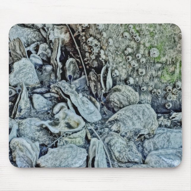 Low Tide Beauty Oyster Bed Mouse Pad (Front)