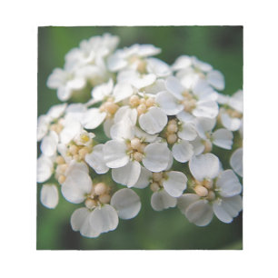 Low white flowers notepad