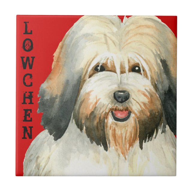 Lowchen Colour Block Ceramic Tile (Front)