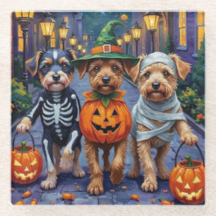 Lowchen Dogs Trick-or-Treating Halloween Costumes Glass Coaster