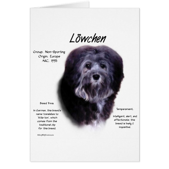 Löwchen History Design (Front)