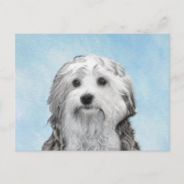 Lowchen Painting - Cute Original Dog Art Postcard (Front)