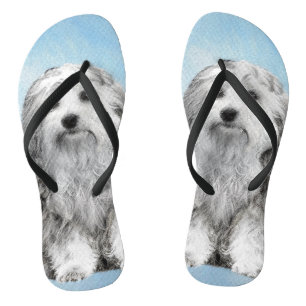 Lowchen Painting - Cute Original Dog Art Thongs