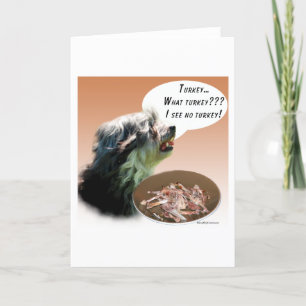 Lowchen Turkey Holiday Card