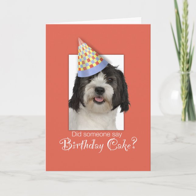 LowchenL Dog Funny Birthday Hat, Orange Background Card (Front)