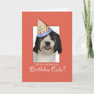 LowchenL Dog Funny Birthday Hat, Orange Background Card