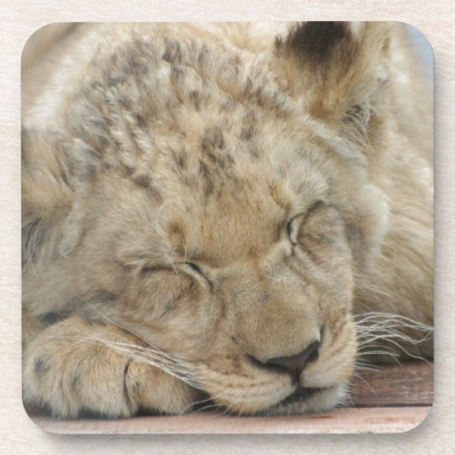 Löwe Coaster (Front)