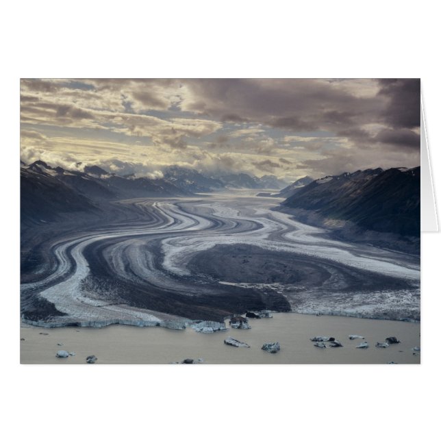 Lowell Glacier flows into the Alsek River in (Front Horizontal)