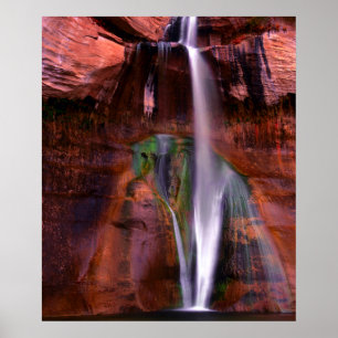 Lower Calf Splashes Down In Grand Poster