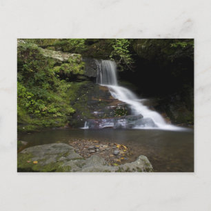 Lower Catawba Falls Postcard