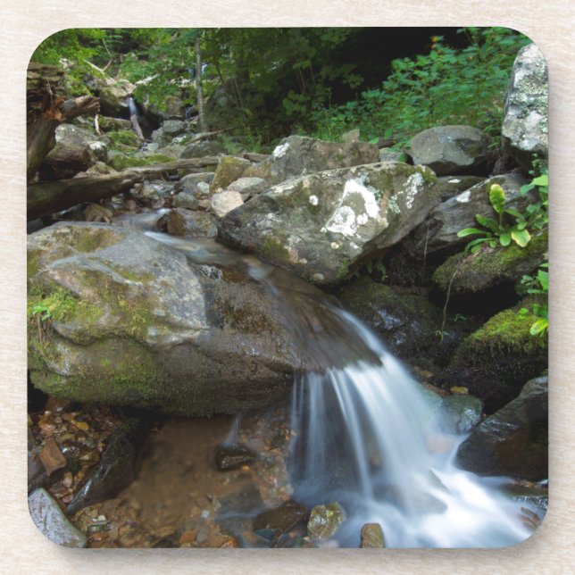 Lower Dark Hollow Falls, Shenandoah Coaster (Front)