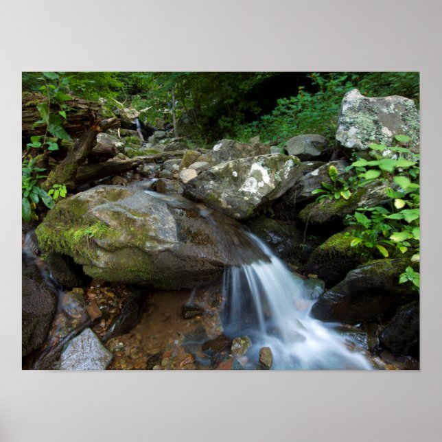 Lower Dark Hollow Falls, Shenandoah Poster (Front)