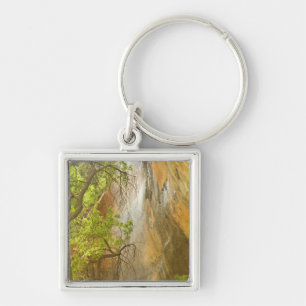 Lower Emerald Pool Waterfall Red rock and Tree Key Ring