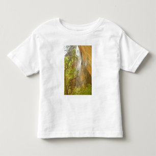 Lower Emerald Pool Waterfall Red rock and Tree Toddler T-Shirt