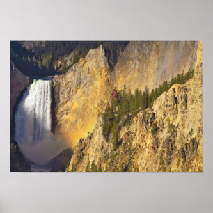 Lower Falls in the Grand Canyon of the Poster
