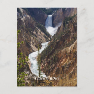 Lower Falls Yellowstone Postcard