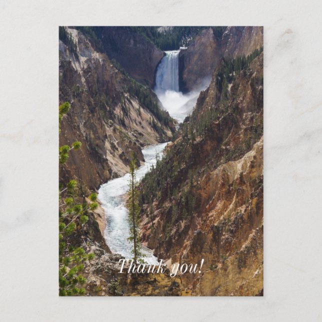 Lower Falls Yellowstone Postcard (Front)