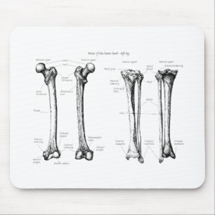 Lower Limb Grey Mouse Pad
