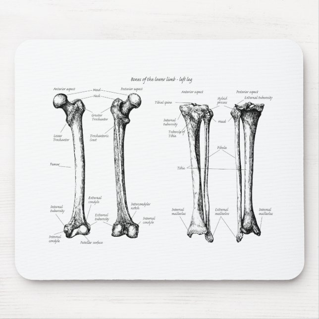 Lower Limb Grey Mouse Pad (Front)