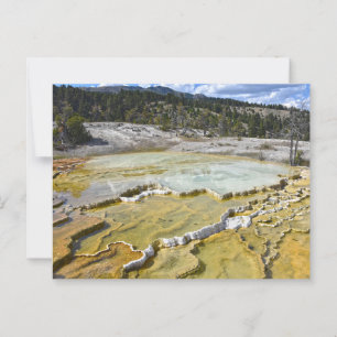 Lower Minerva Terrace, Yellowstone National Park Postcard