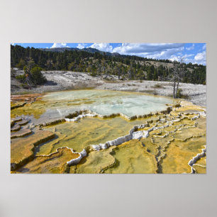 Lower Minerva Terrace, Yellowstone National Park Poster