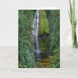 Lower Proxy Falls   Willamette National Forest Card