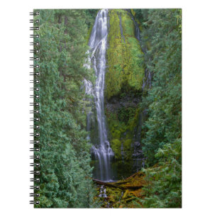 Lower Proxy Falls Willamette National Forest Notebook