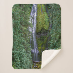 Lower Proxy Falls   Willamette National Forest Sherpa Blanket