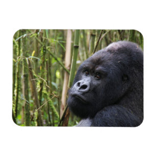 Lowland Gorilla Flexible Magnet