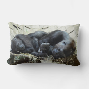 Lowland Gorillas Napping Lumbar Cushion