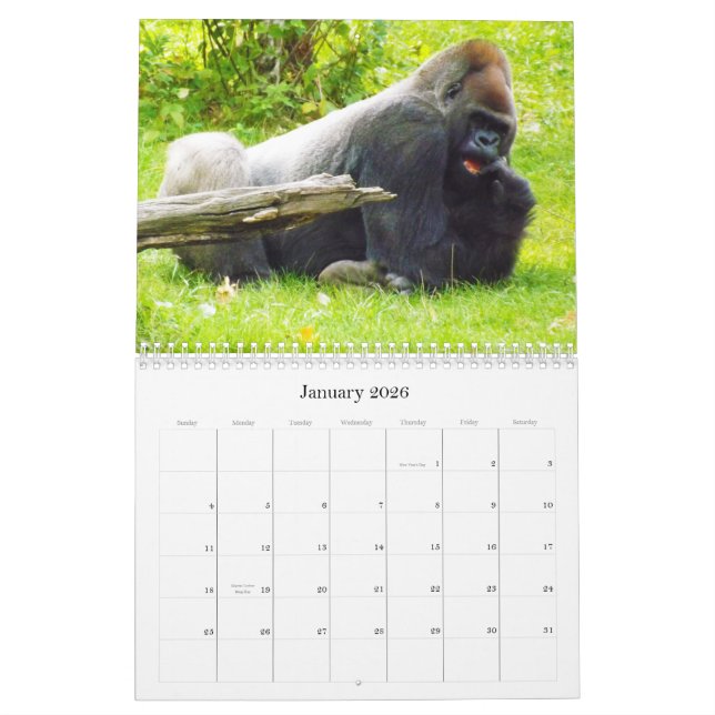 Lowland Gorillas of the Kansas City Zoo Calendar (Jan 2026)