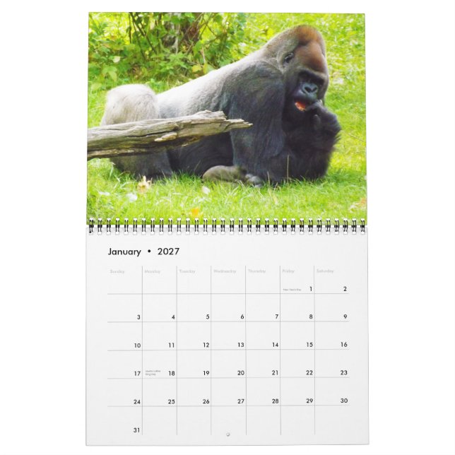 Lowland Gorillas of the Kansas City Zoo Calendar (Jan 2027)