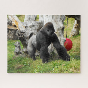 Lowland silverback gorilla jigsaw puzzle