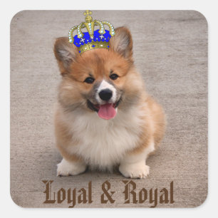 Loyal and Royal Corgi Puppy Square Sticker
