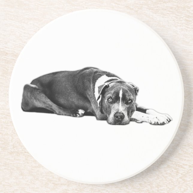 Loyal Companion Pitbull Mix Art Coaster (Front)
