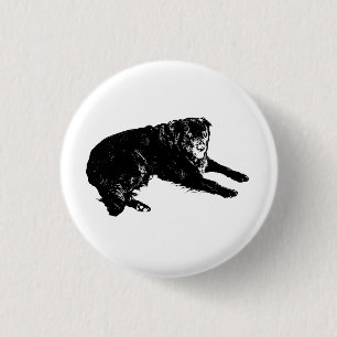 Loyal Hearts on Display 3 Cm Round Badge