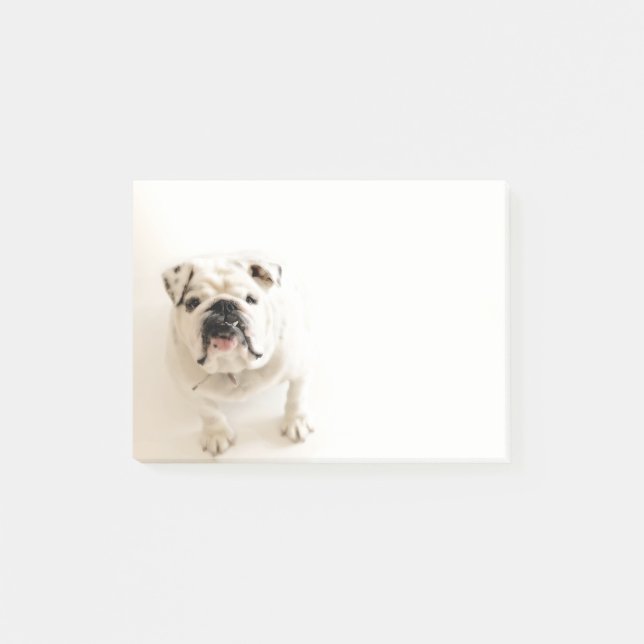 Loyal White Bulldog Photograph Post-it Notes (Front)