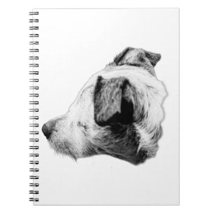 Loyalty in Profile Notebook