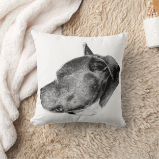 loyalty in shade cushion